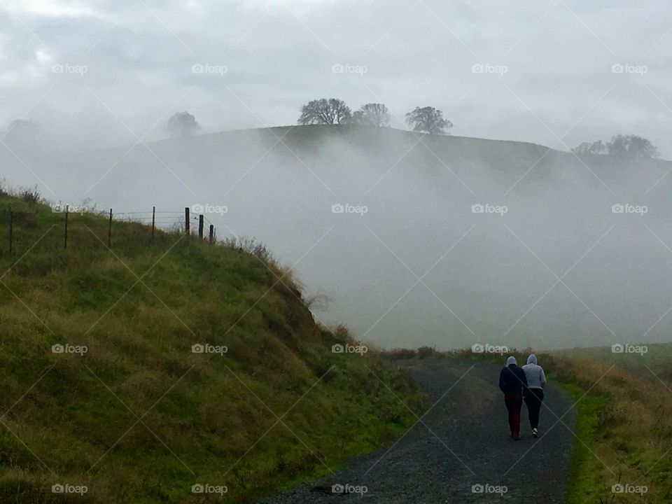 Early morning walk in the countryside into the fog. 