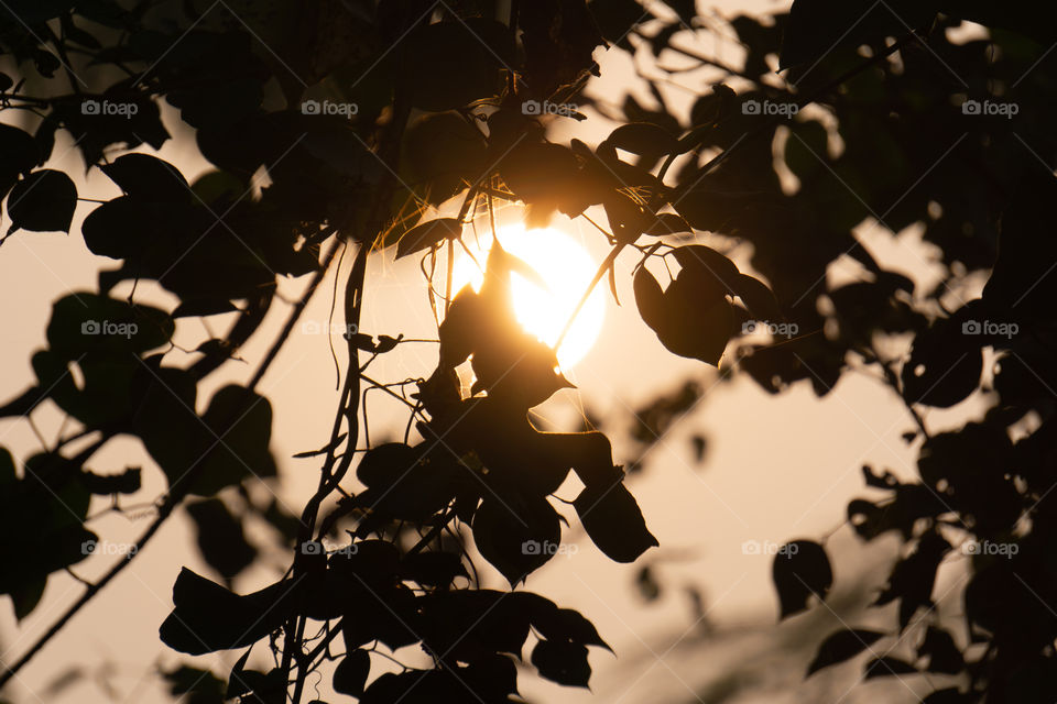 Nature is so beautifull capture it because every moment nature is changed