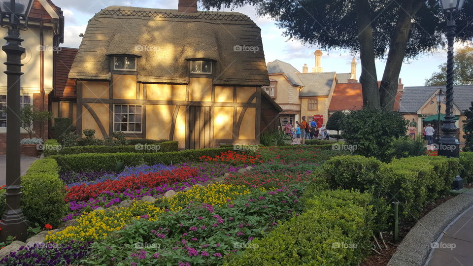 The sun shines brightly through the trees at EPCOT at the Walt Disney World Resort in Orlando, Florida.