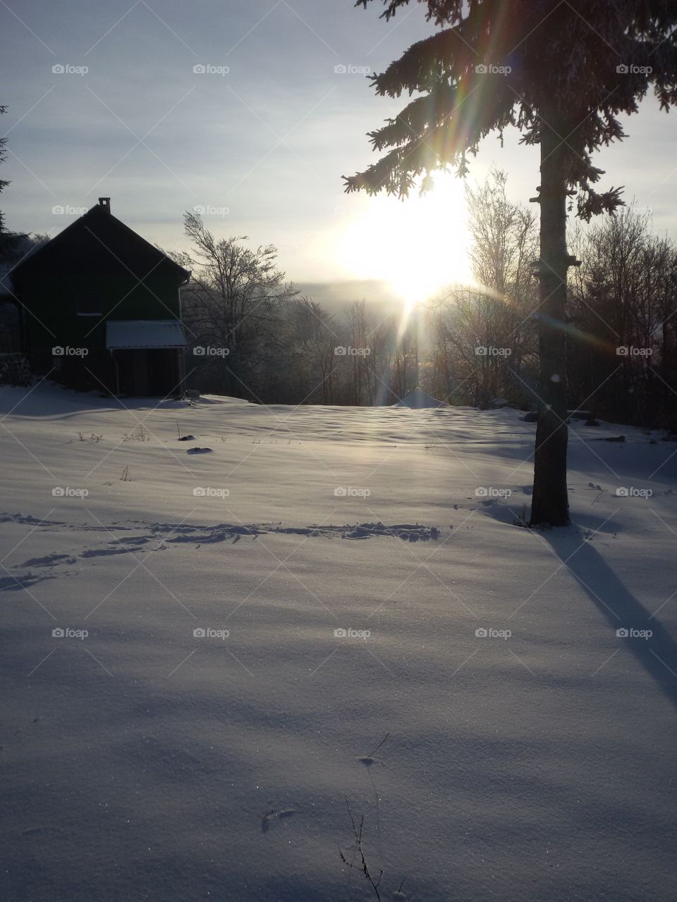 view of the sun in winter