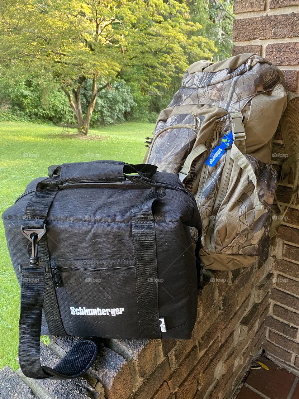 Are you ready for an adventure 