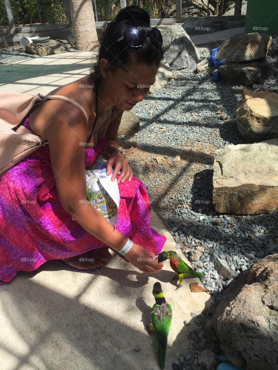 Feeding beautiful parrots 