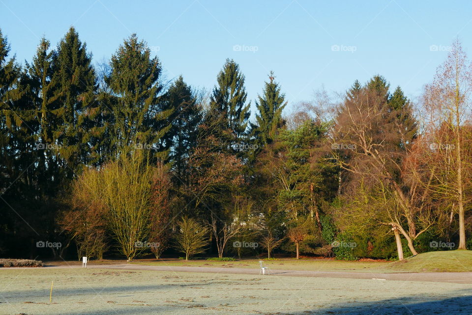 Middelheim park in Antwerp