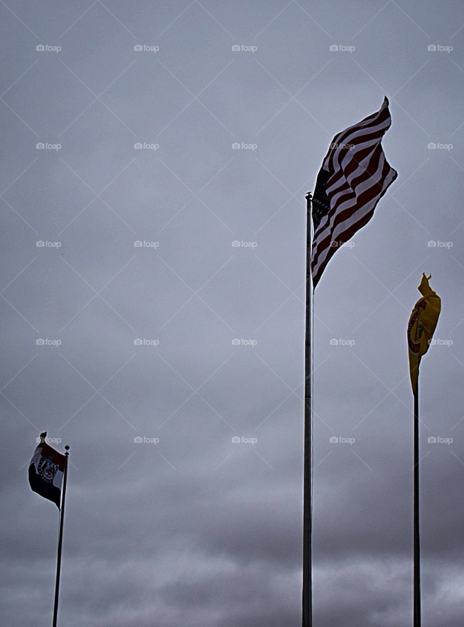 Flags on a Windy Winter Afternoon