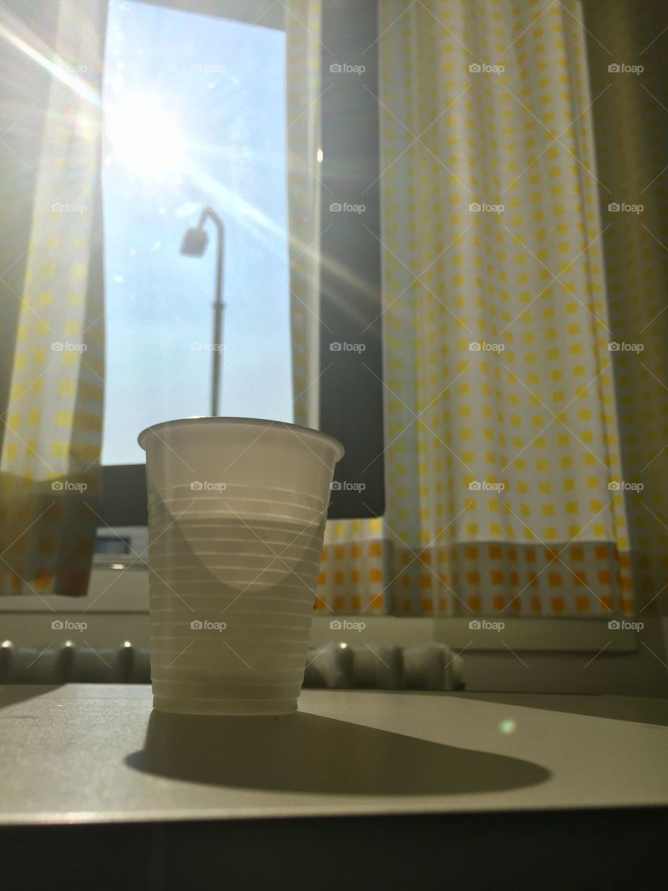 Cup looking out of the window