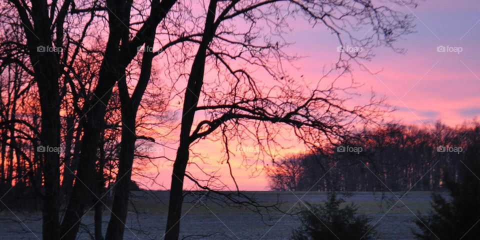 winter sunrise. colorful winter sunrise