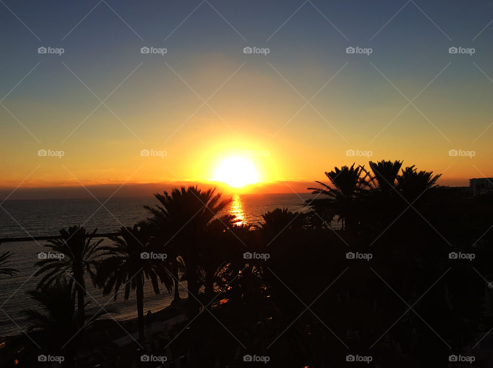 Summer tropical sunset among palm trees 