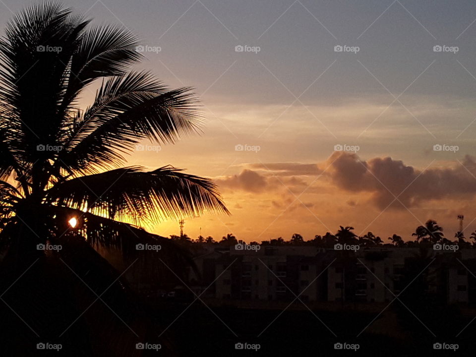 sunrise in the tropics Dominican Republic