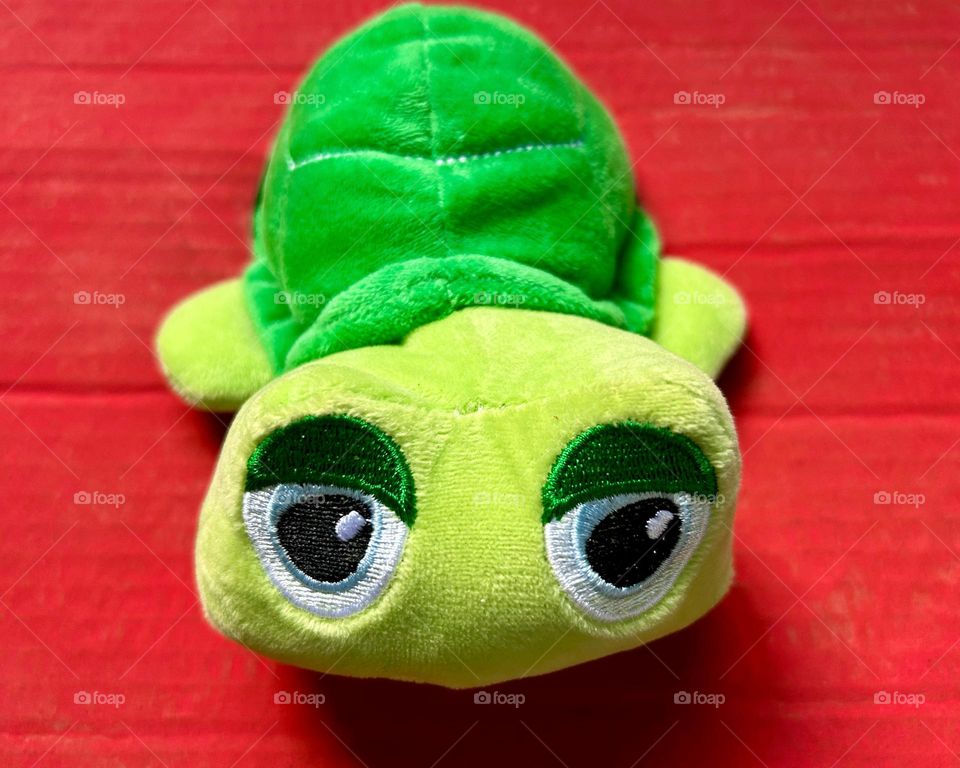 sad turtle