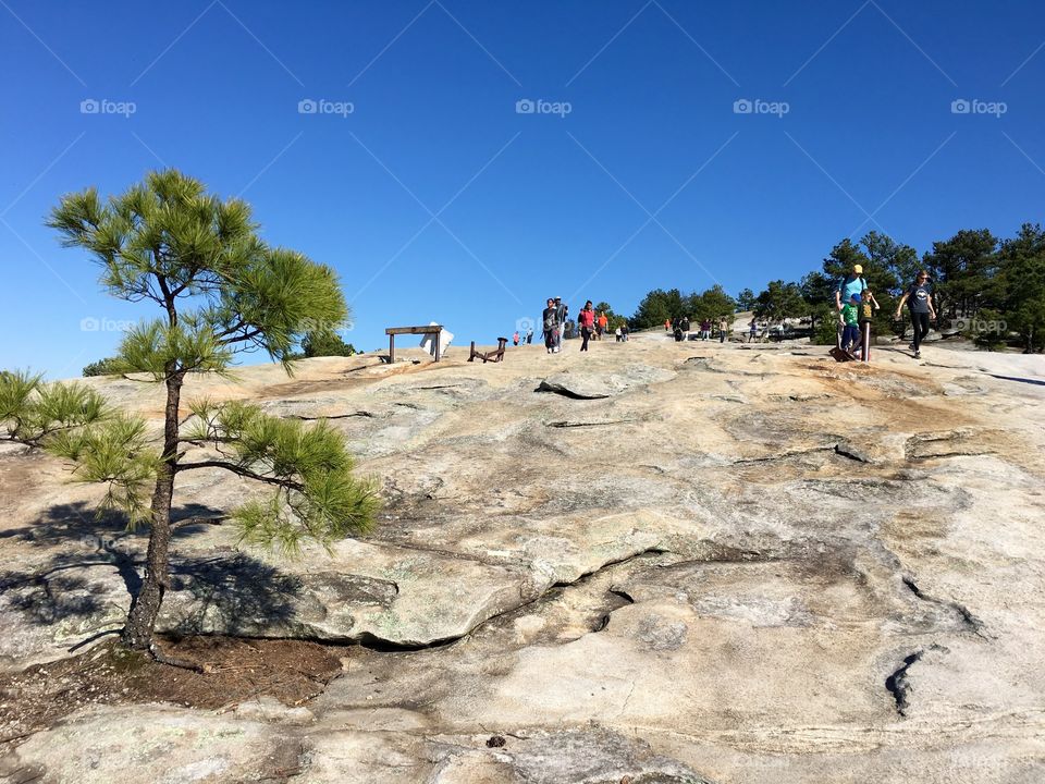 Stone Mountain