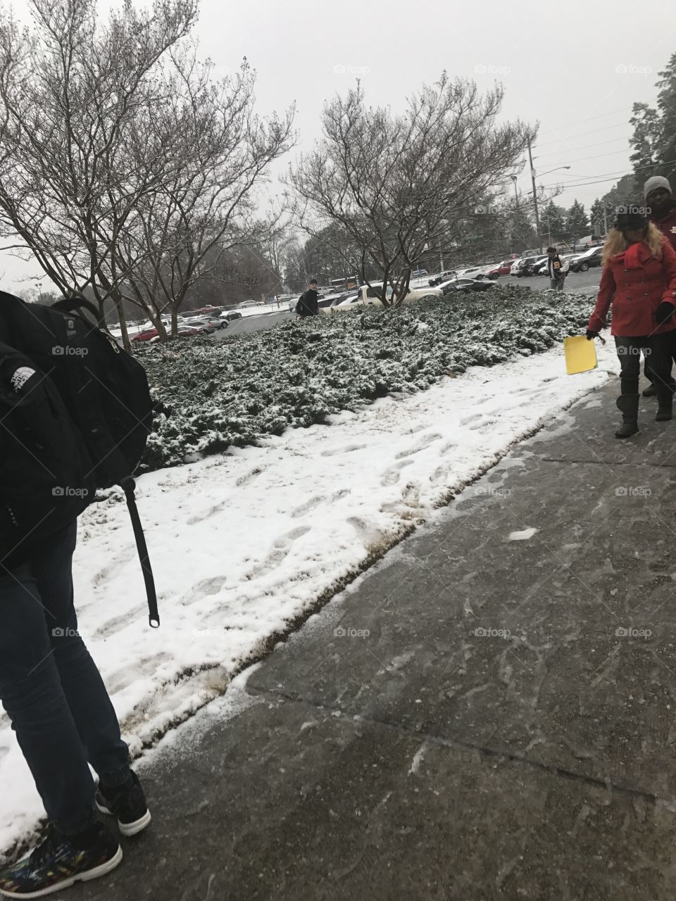 Students walking on a sideway after a snowfall, with snow covered bushes in the background