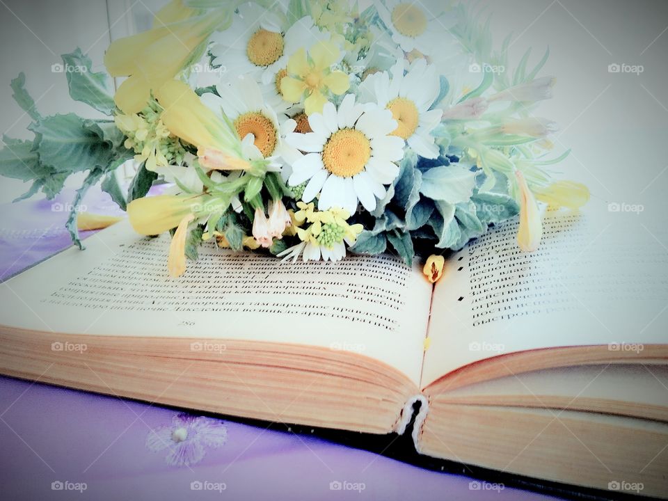 harmony for the soul good book and flowers