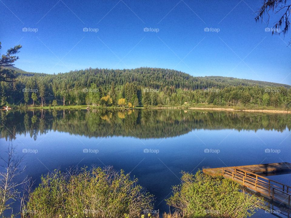 Beautiful sunny day! 