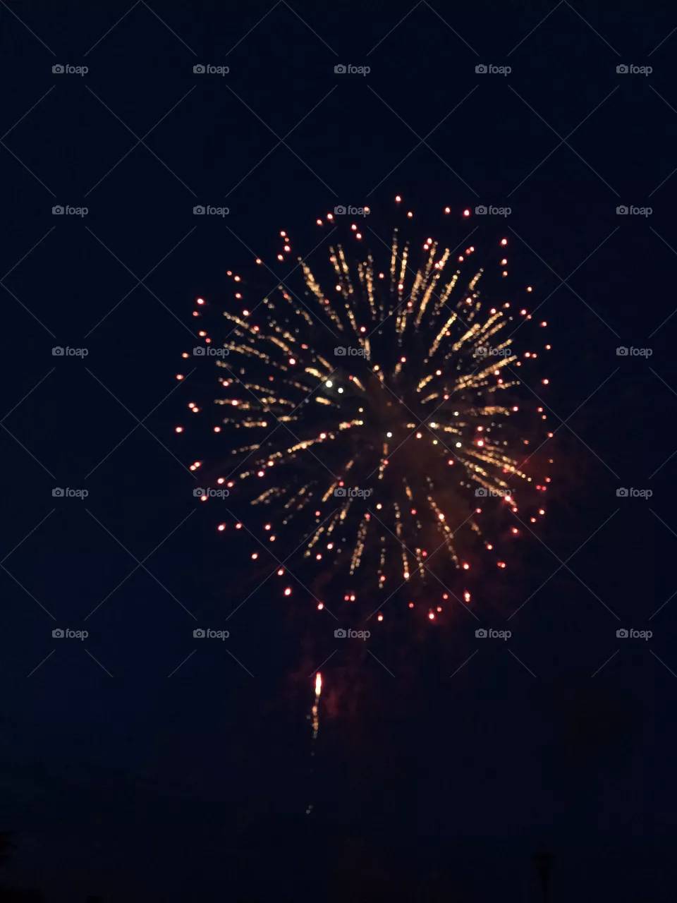 Celebrate