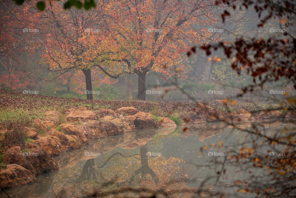 early morning fog over a lake in Dwellingup western Australia