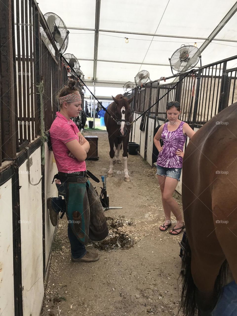 Girl Ferrier At The Barn