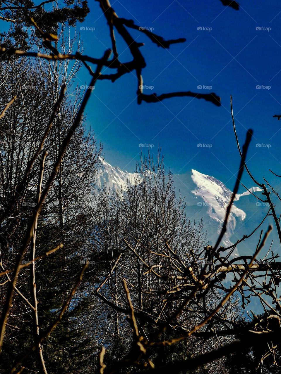 composition of mountain