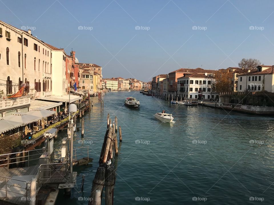 Venice canal grande