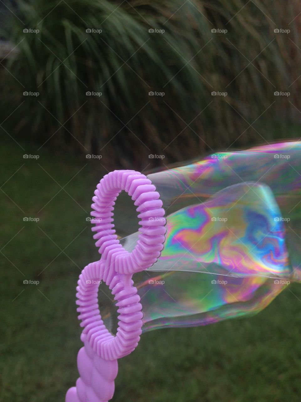 Bubbles and rainbows. Rainbow colors in bubbles that are blowing in the wind