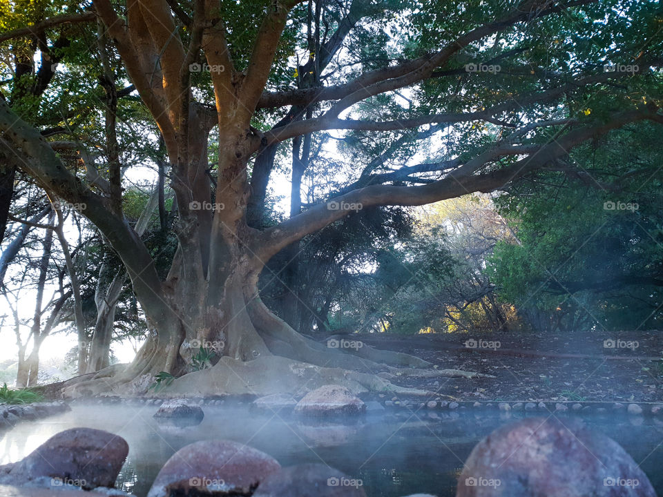 mist on the water early morning