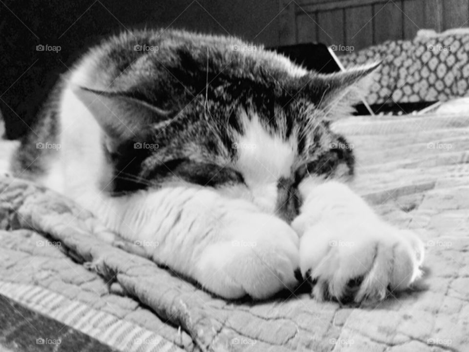 Sliding Into the Weekwnd