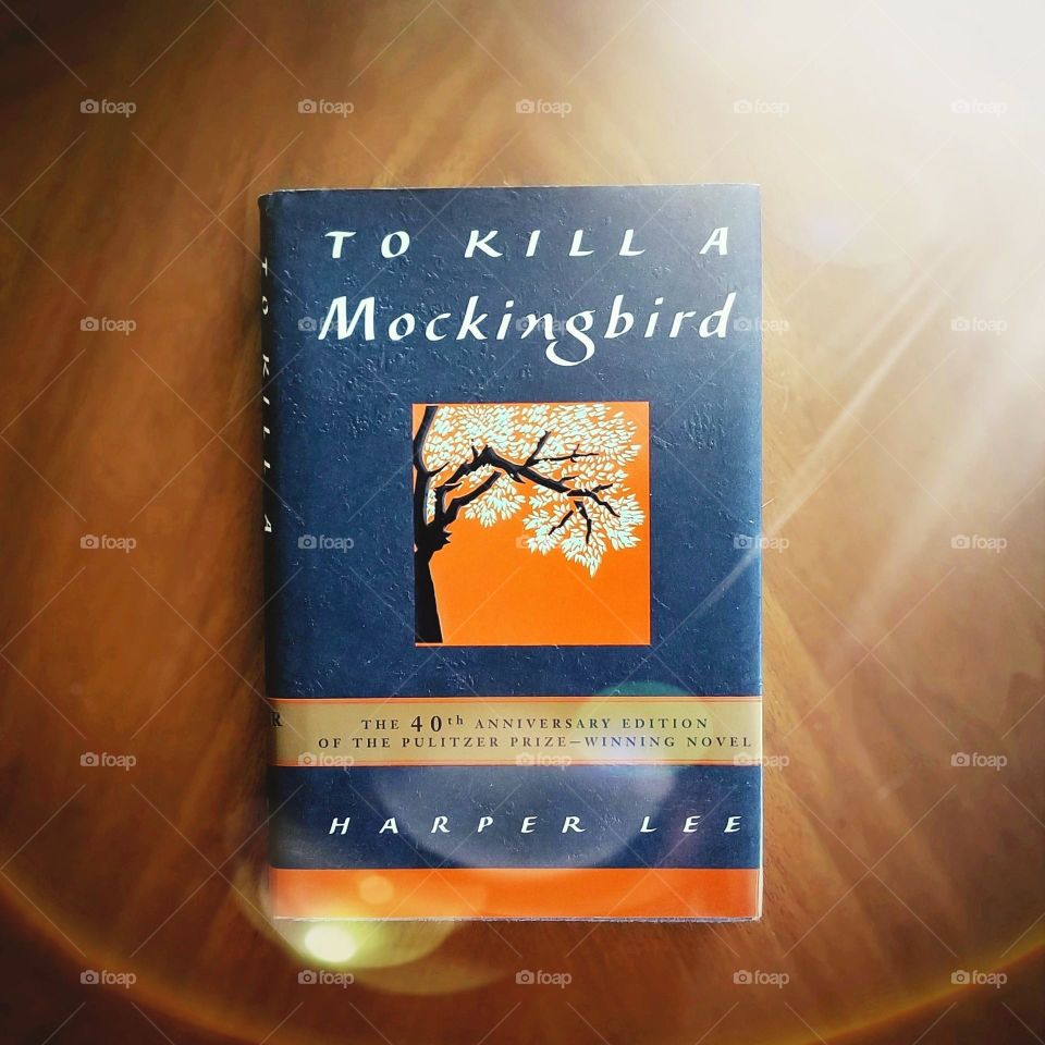 To Kill a Mocking Bird by Harper Lee in Sunlight