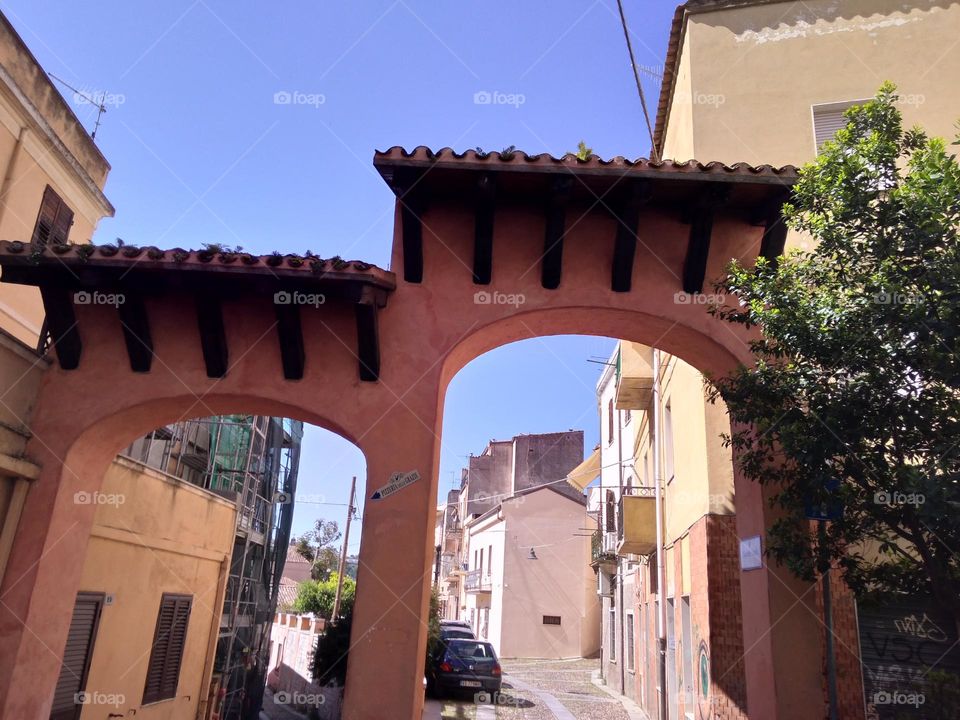 Editors' Choice: Photo of the Week