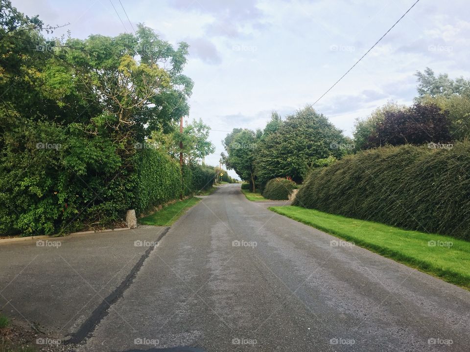 Road, Guidance, Landscape, Tree, Asphalt