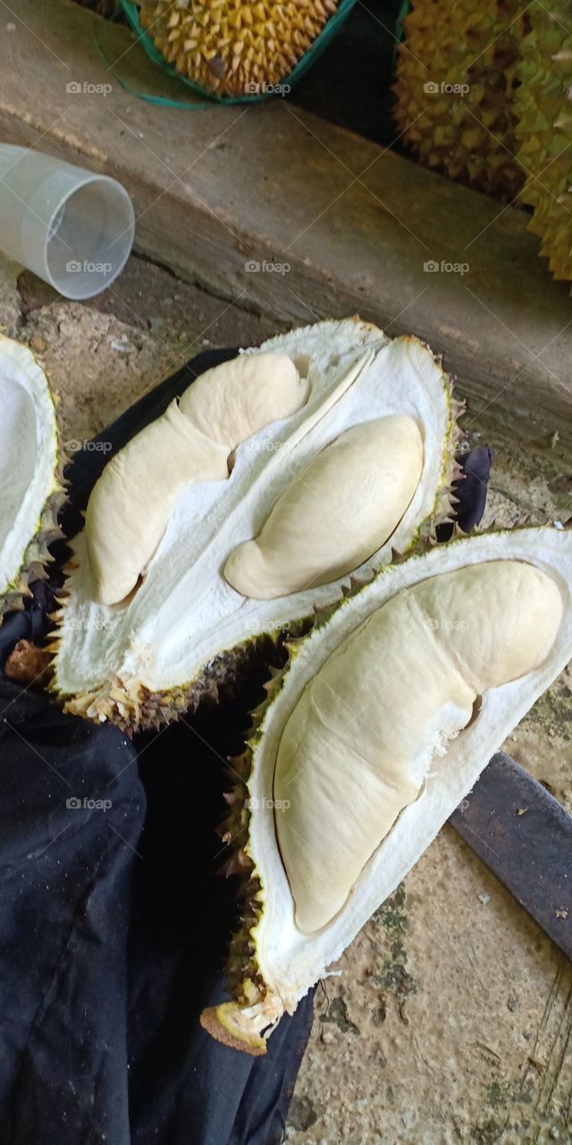 durian