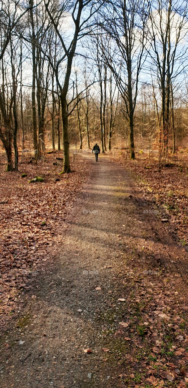 Silhuett walking alone on road in forest