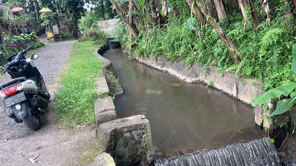 Rice field irrigation in bali