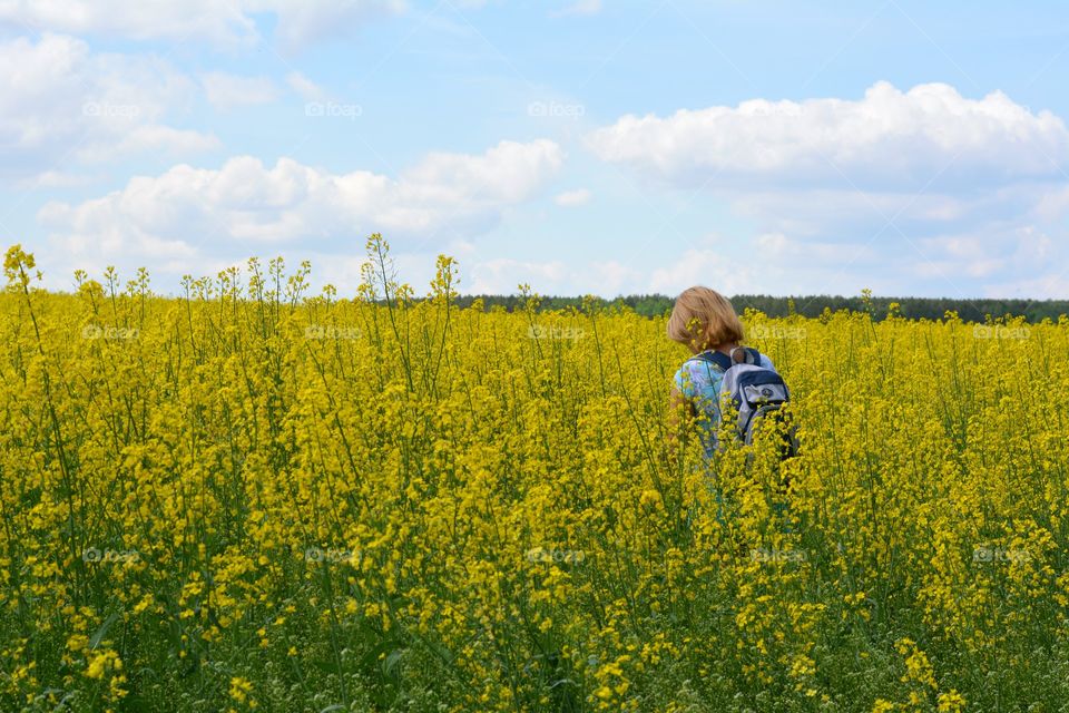 Field, Landscape, Agriculture, Flower, Crop