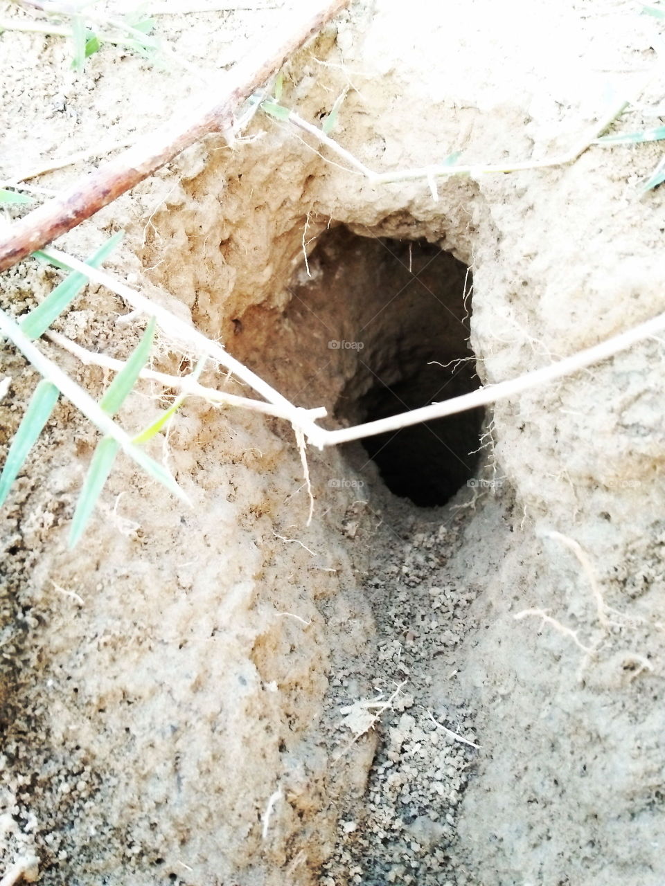 mouse hole