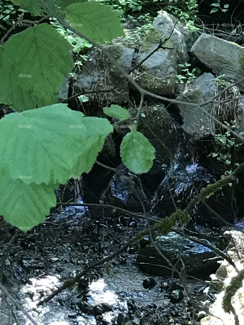 Little brook/waterfall