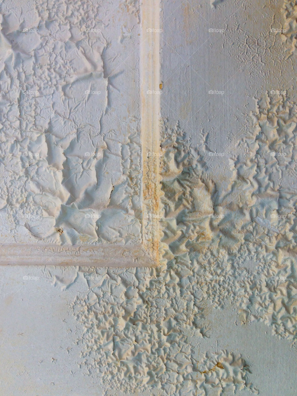 Buckling paint on old door