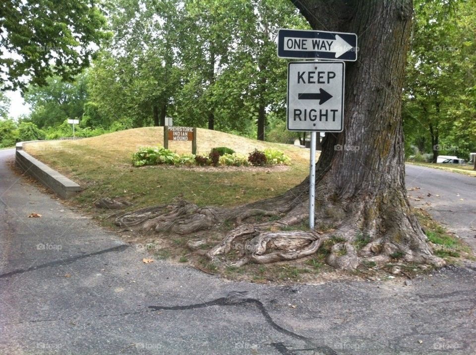 One Way/Keep Right Signs