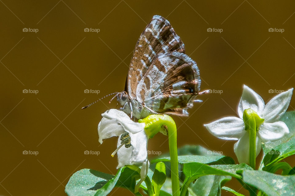 The spring is coming