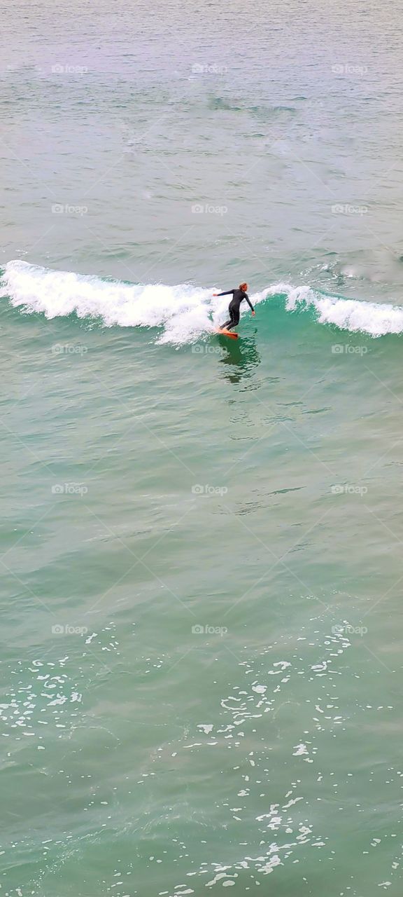 surfer dude