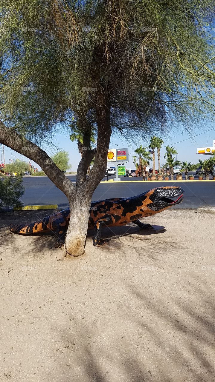 gila bend az