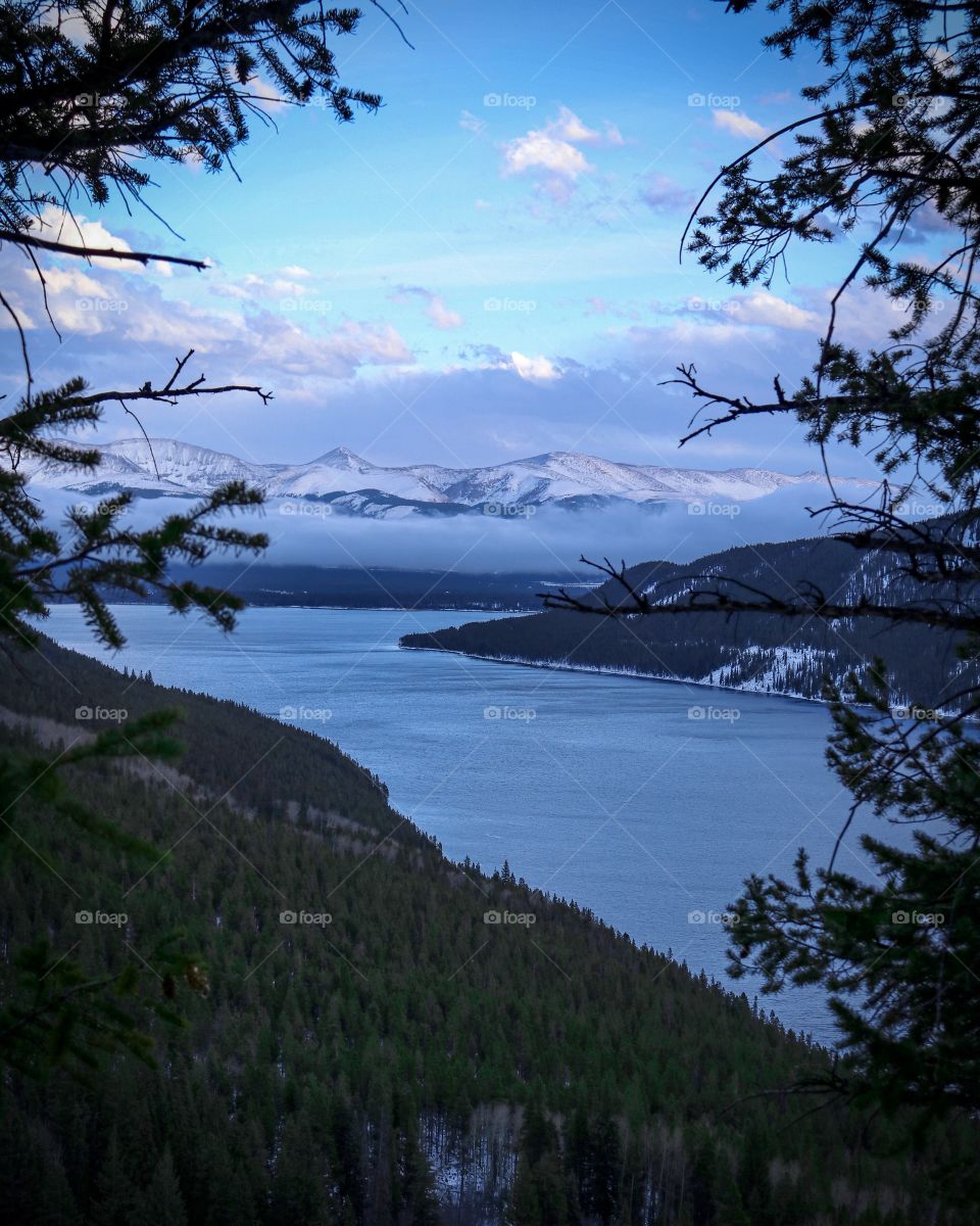 View over turquoise lake through the pine trees.