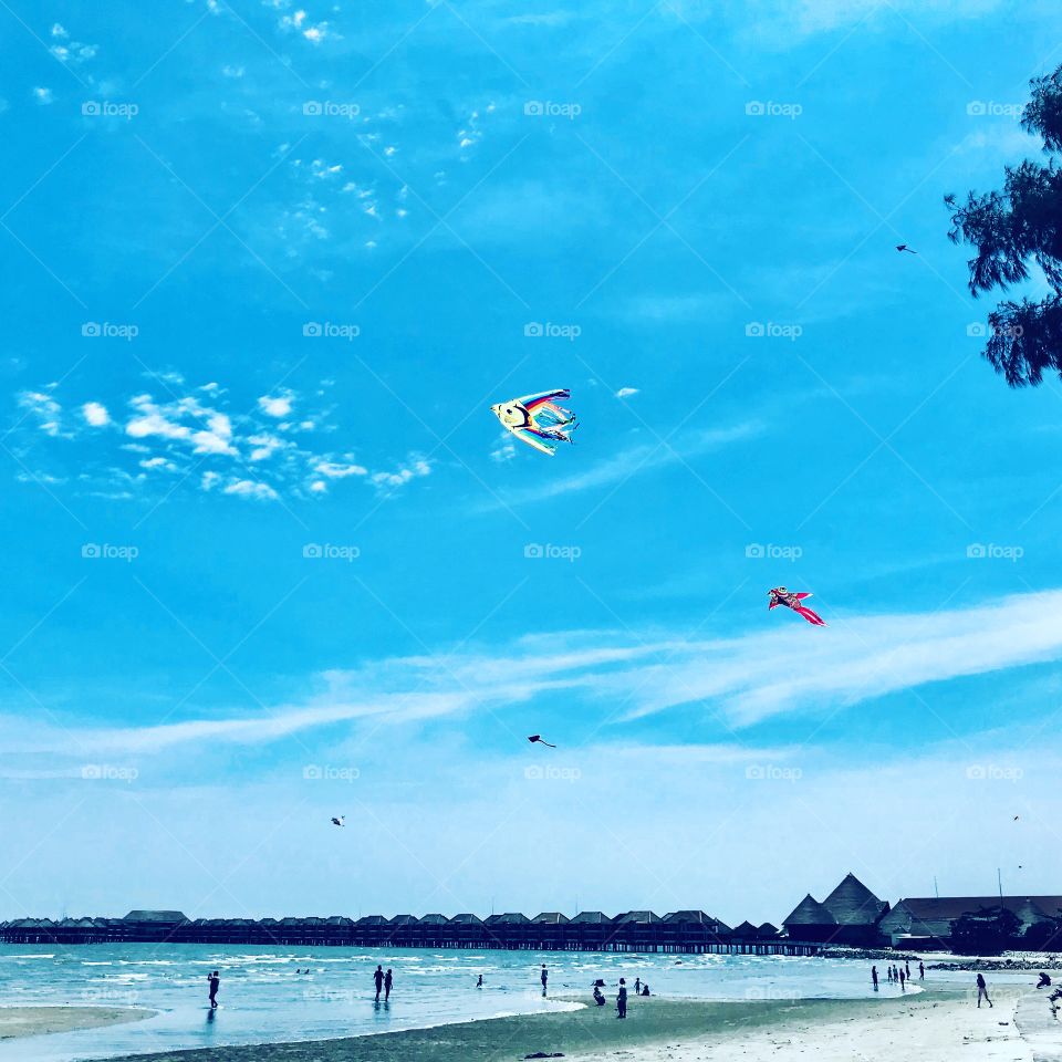 Blue Summer sky and kite 
