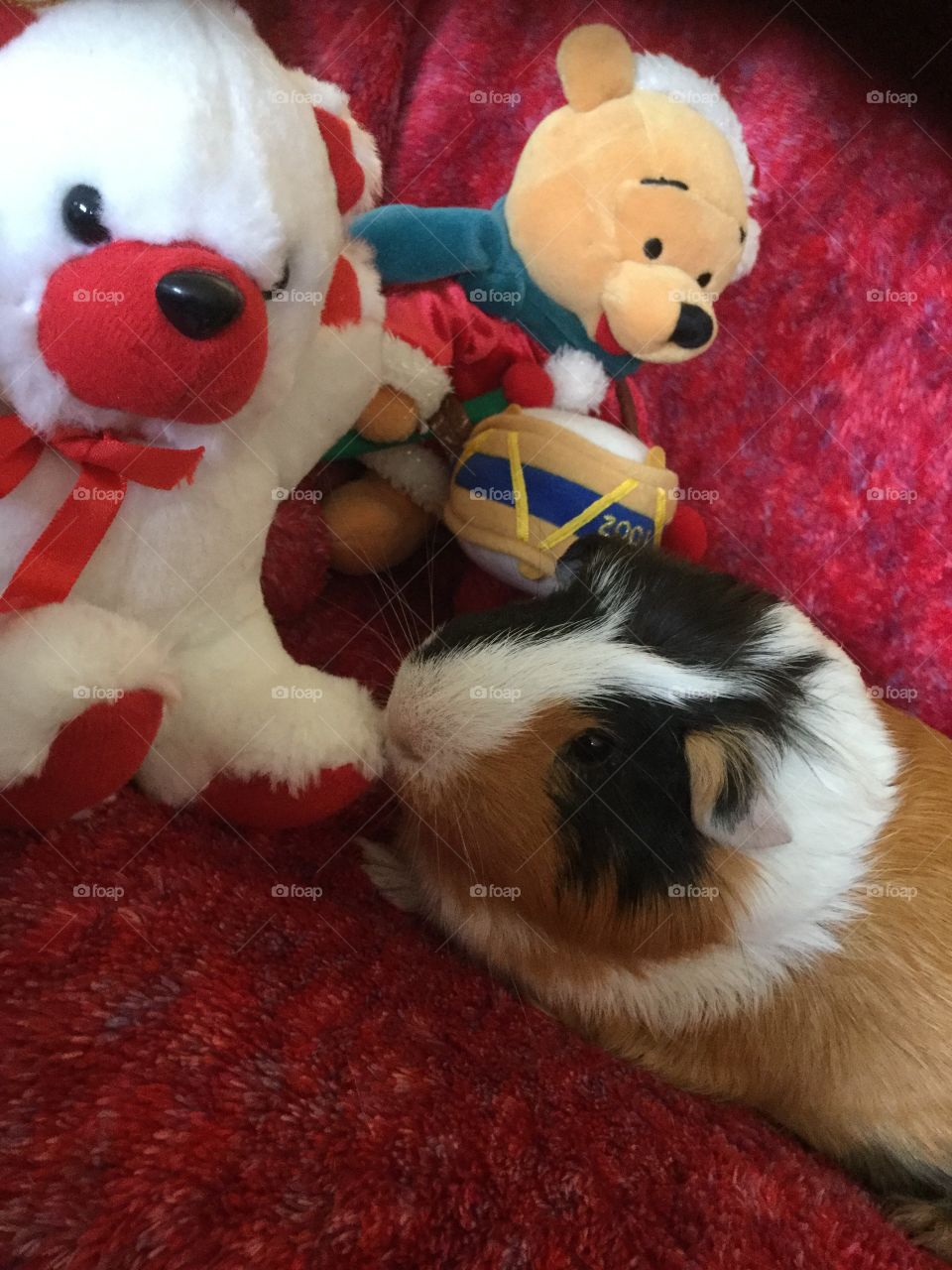 Jonathan loves Christmas 