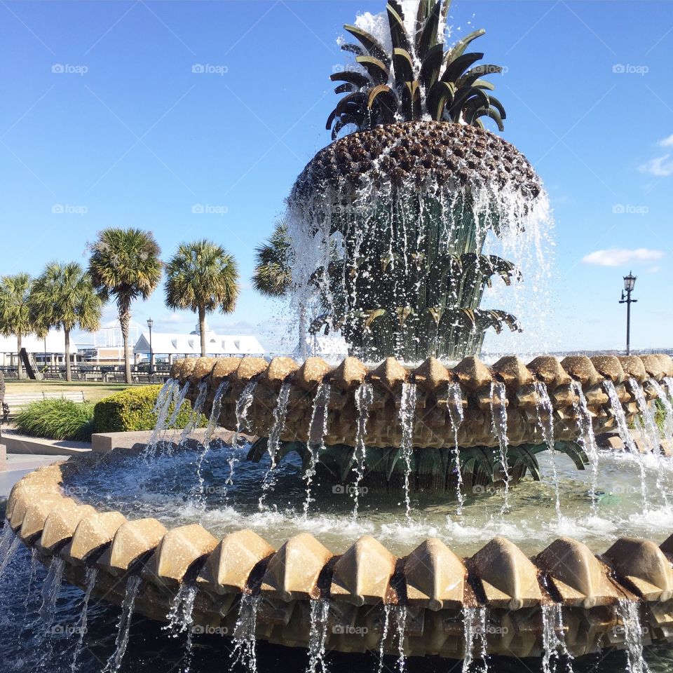 Pineapple Fountain | Charleston, SC