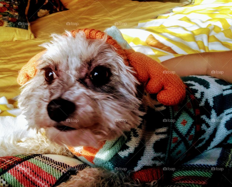 because even Rudy should get to kick back and enjoy a Lil nog!