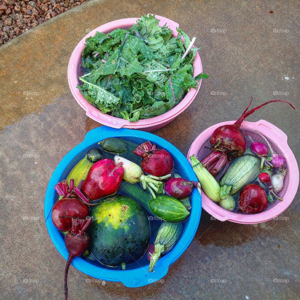 Handpicked vegetables and fruits from a sustainable garden. 