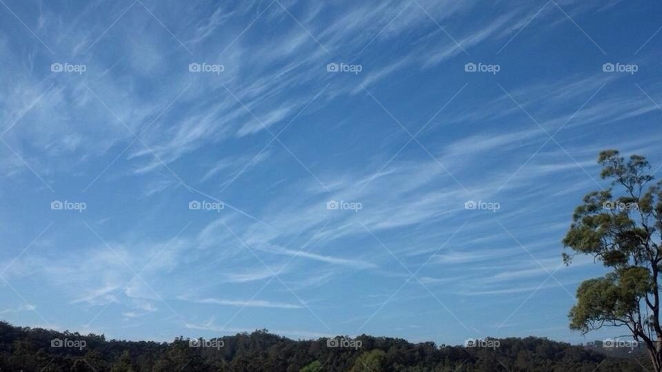 Wispy Clouds in the sky