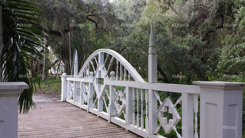 The Garden. walk in the park