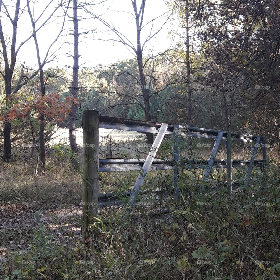 Country  Fence