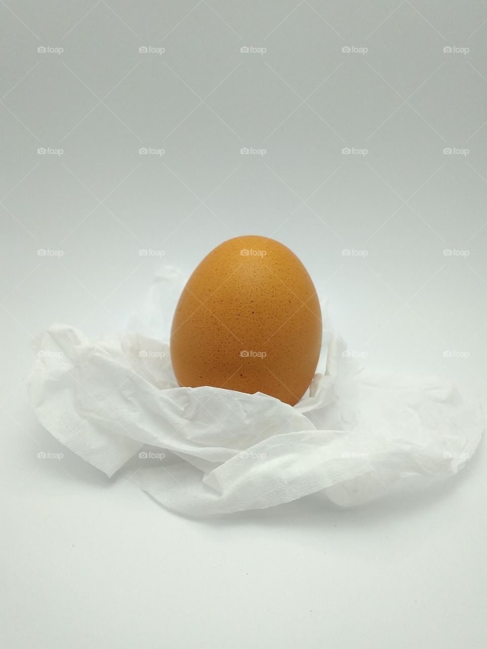 Raw chicken eggs standing on paper towels in studio close-up on white background.