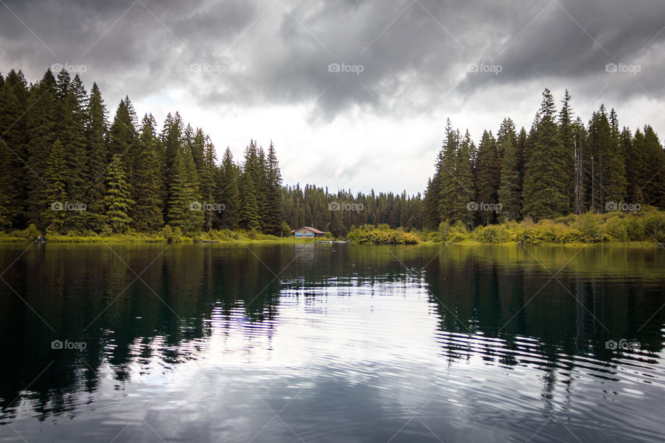 Lake, Wood, No Person, Water, Tree